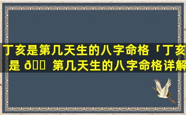 丁亥是第几天生的八字命格「丁亥是 🐠 第几天生的八字命格详解 🐶 」